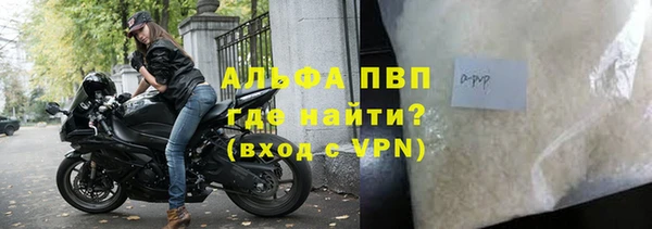 мяу мяу мука Беломорск