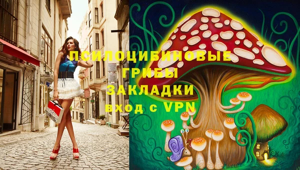 мяу мяу мука Беломорск