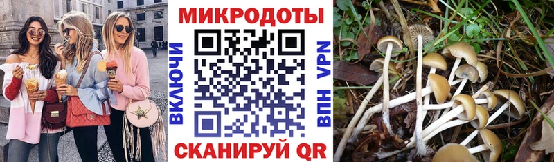 Псилоцибиновые грибы Magic Shrooms  Заполярный 